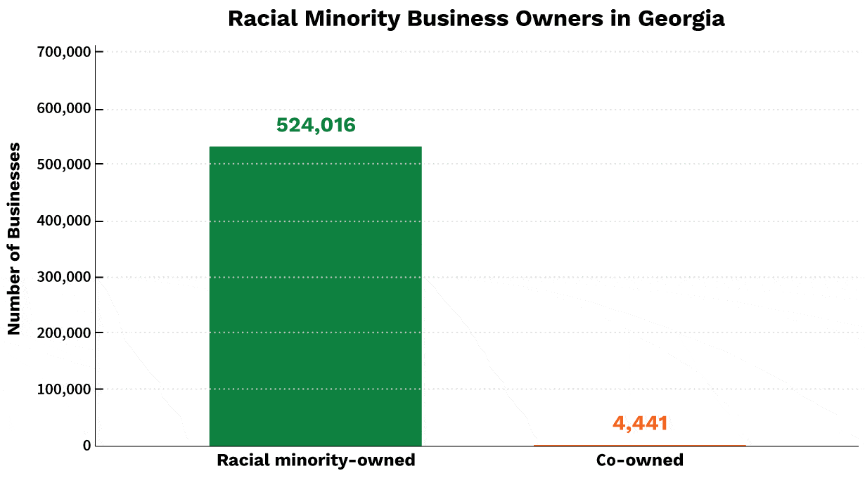 Racial Minority Business Owners in Georgia